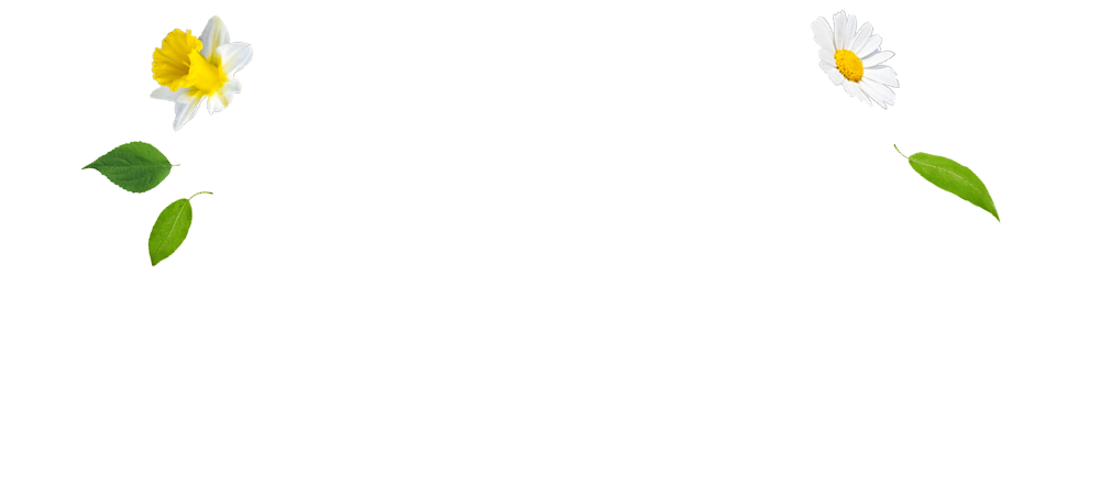 Spring Sale